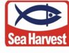 Sea Harvest Group