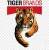 Tiger Brands
